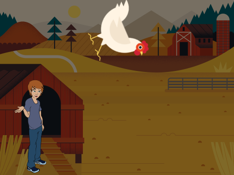 catch the chicken